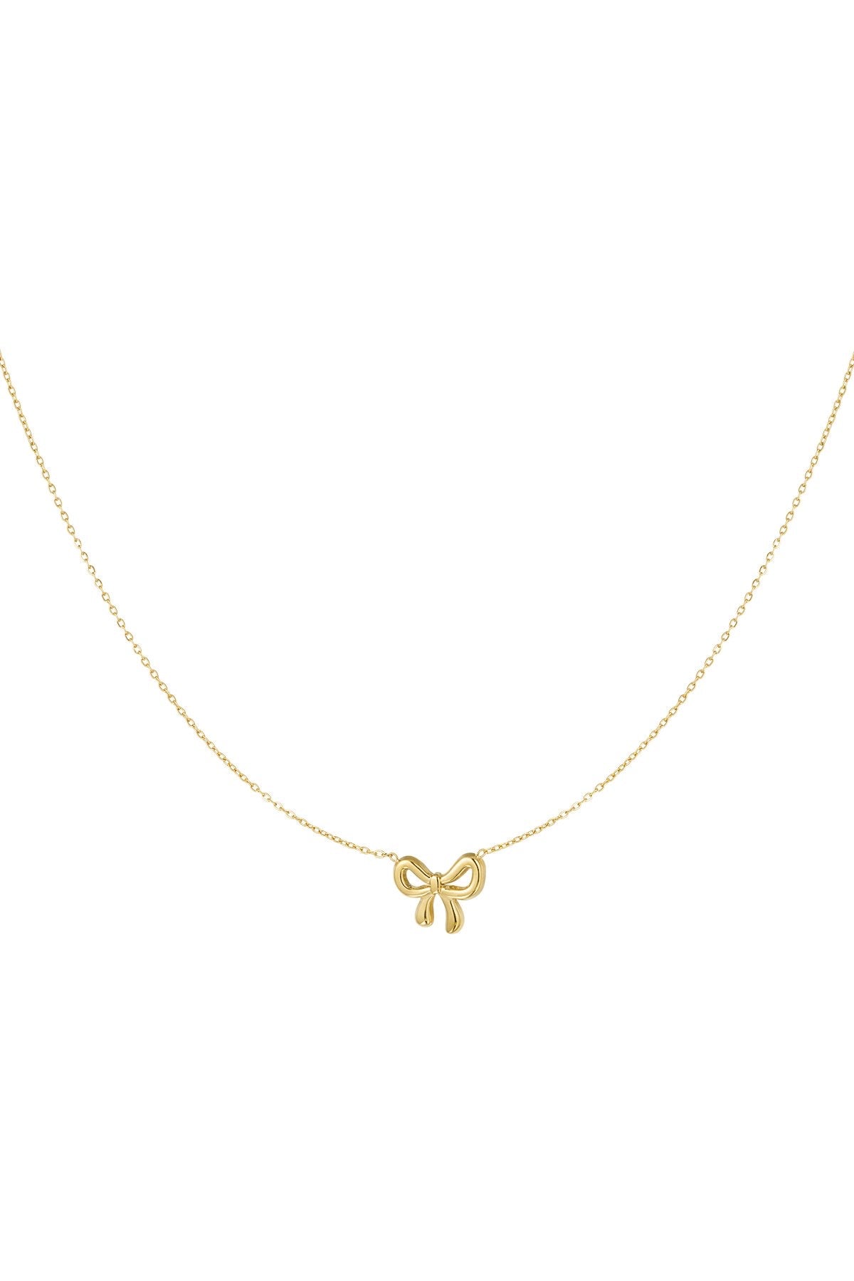 Minimalistische Gouden-Zilveren Ketting Strik | Jewellery by Marie