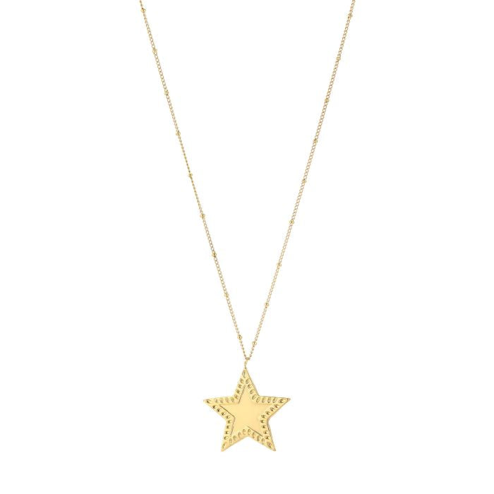 Lange ster ketting goud