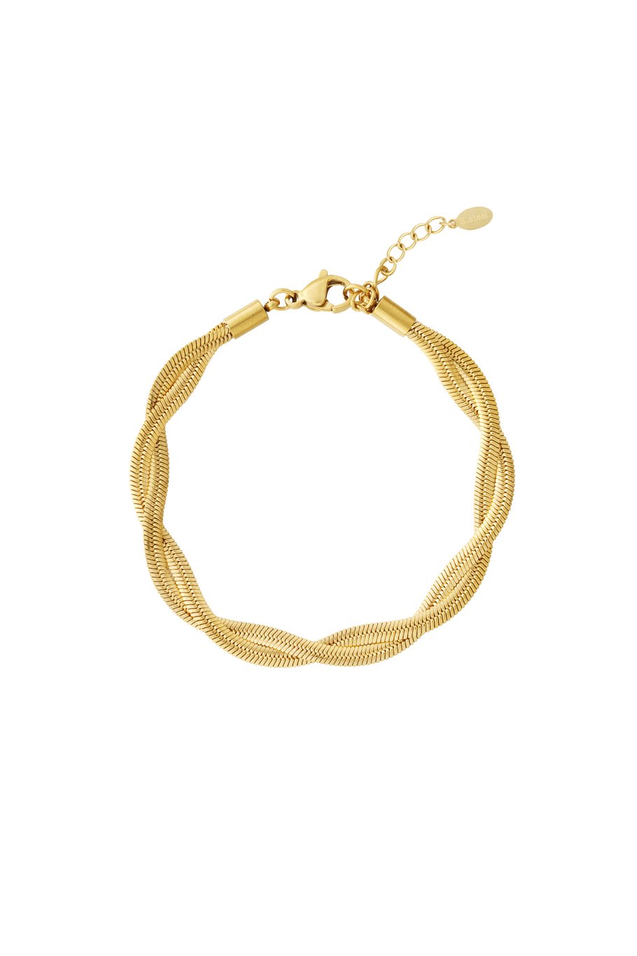 Twisted visgraad armband